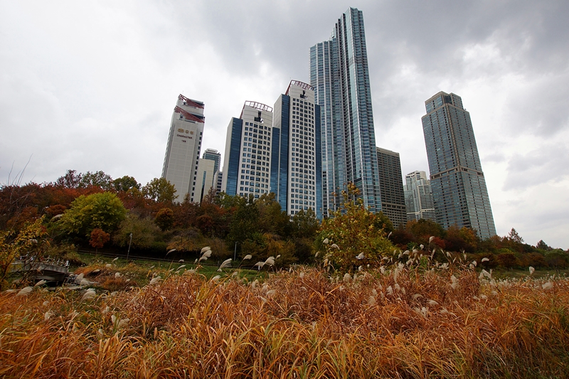 액DSC08862 001.jpg
