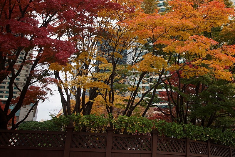 액DSC08977 002.jpg
