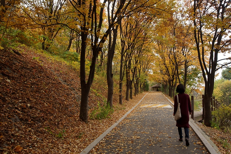 액DSC08873 001.jpg