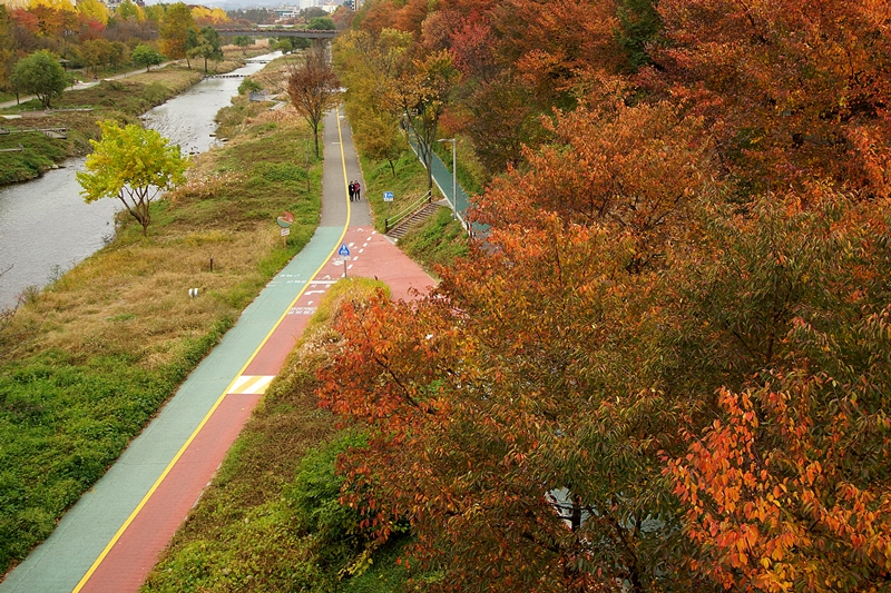 액DSC08899 001.jpg