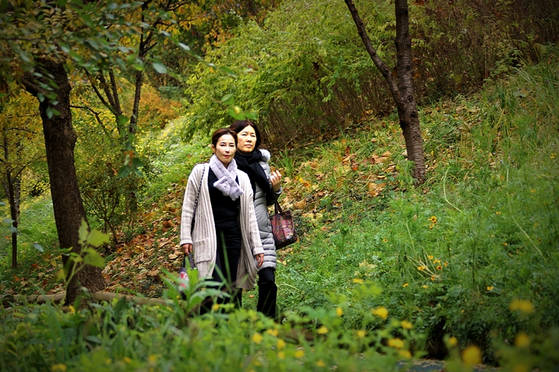 액DSC08843 001.jpg