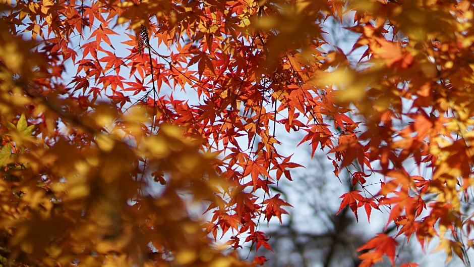산 051.JPG