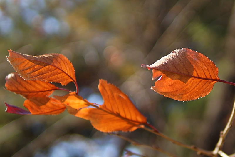 산 029.JPG