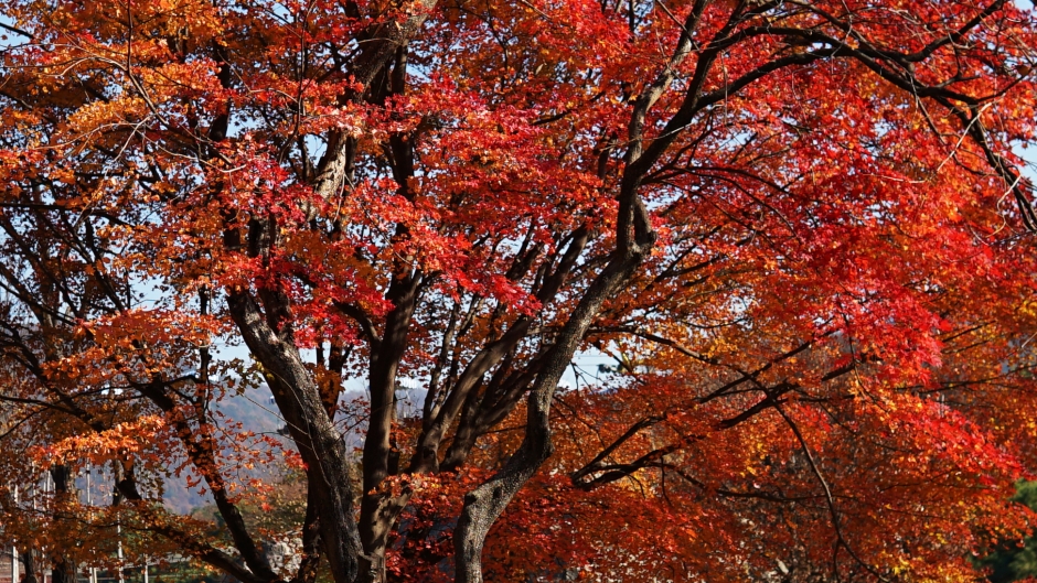 산 059.JPG
