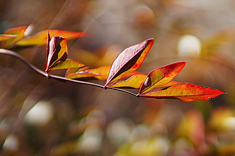 산 012.JPG