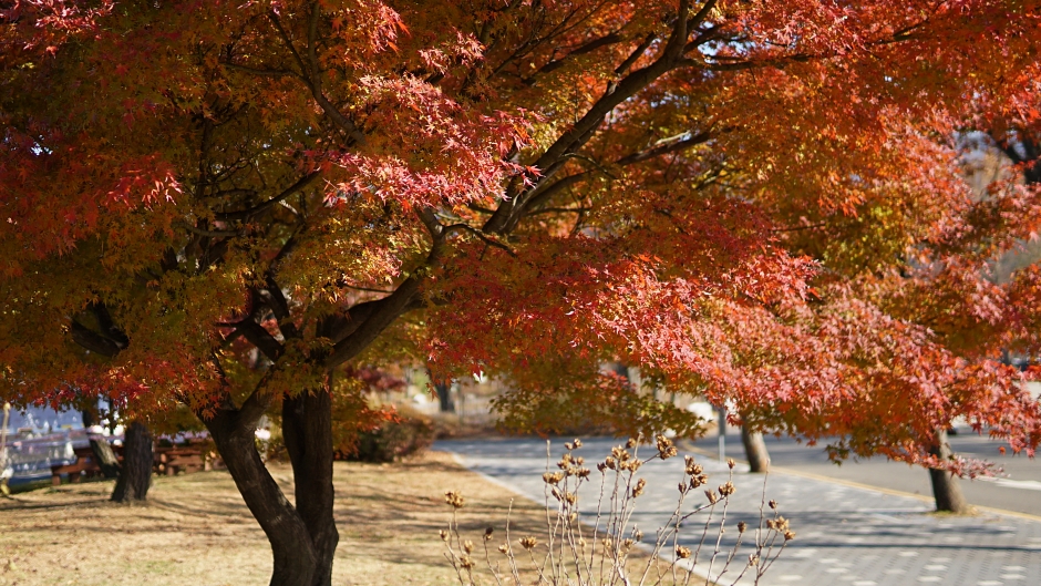 산 07.JPG