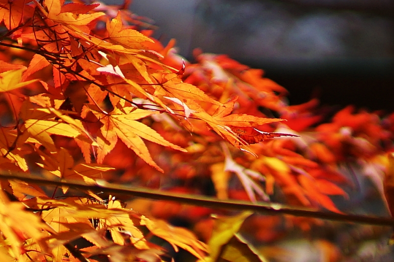 산 052.JPG