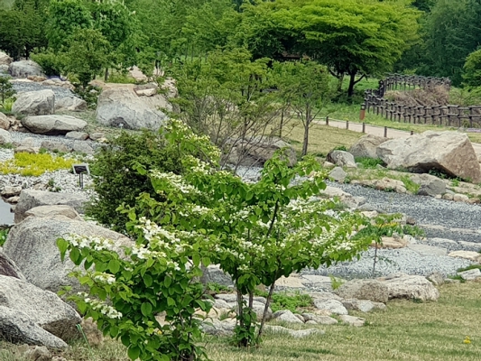 2018-05-07 배두대간 (1) (114).jpg
