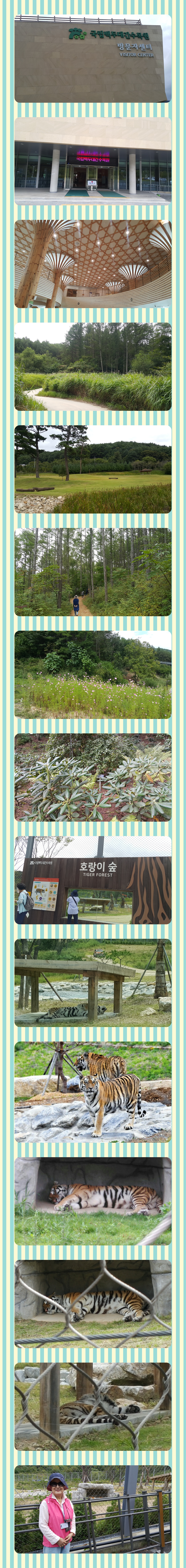 백두대관 호랑이숲.jpg