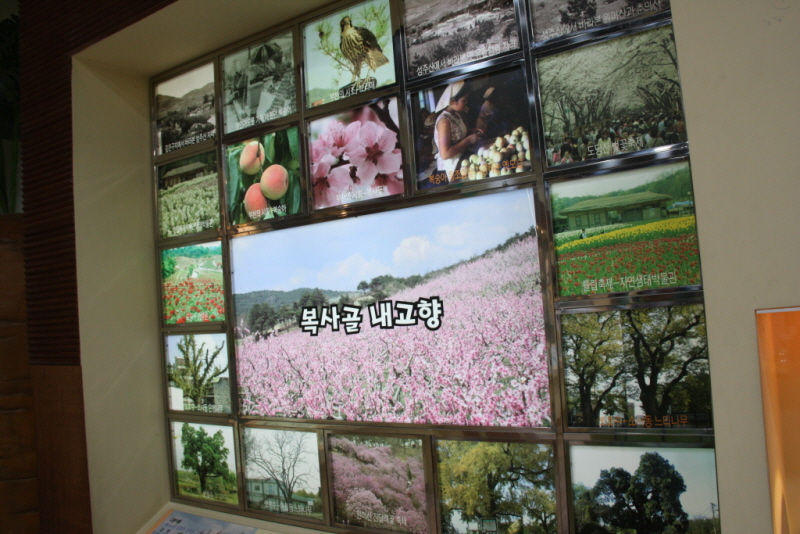 꾸미기_꾸미기_AIMG_8605.jpg