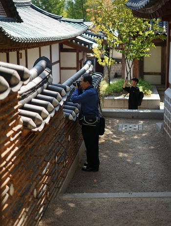 DSC01109 0.JPG