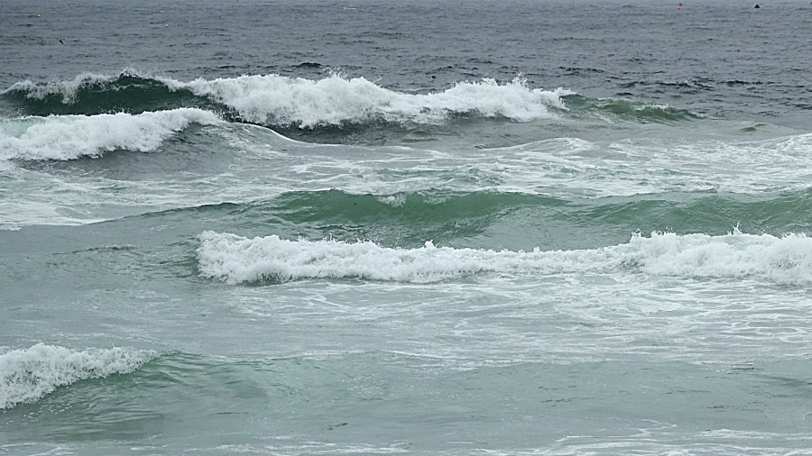 DSC07062 00.JPG
