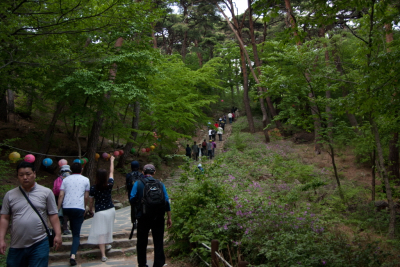 꾸미기_꾸미기_AIMG_1594.jpg