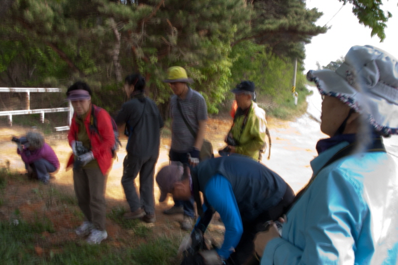꾸미기_꾸미기_AIMG_1497.jpg