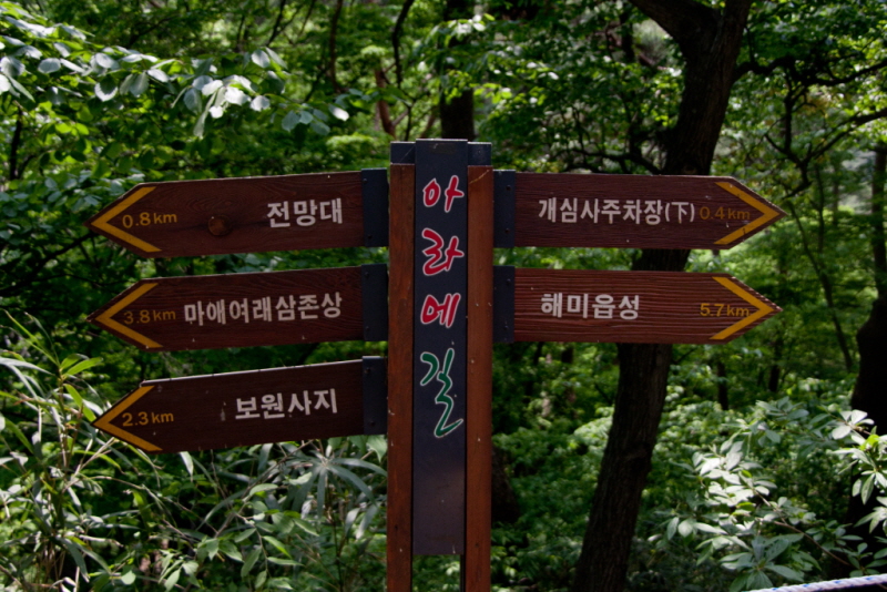 꾸미기_꾸미기_AIMG_1596.jpg