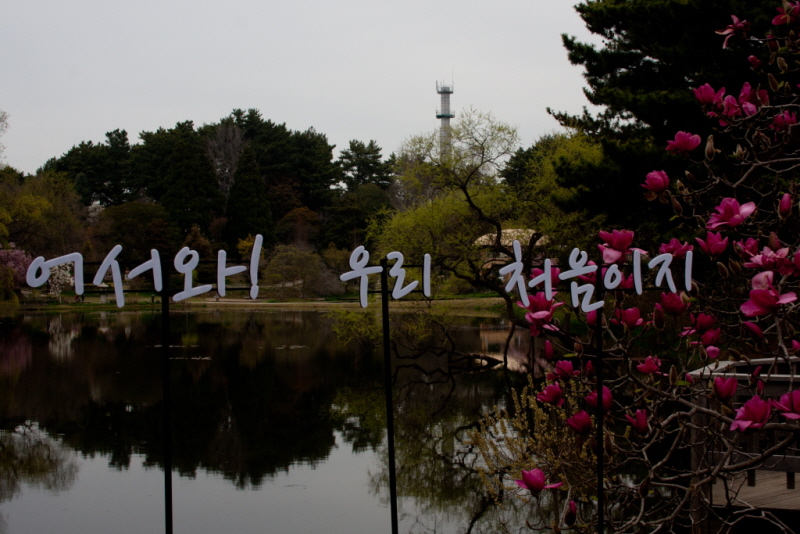 꾸미기_꾸미기_AIMG_0014.jpg