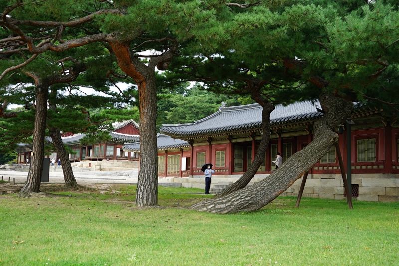 산 054.JPG