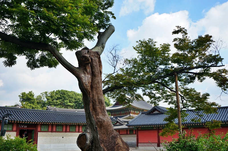 산 097.JPG