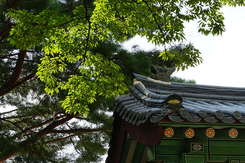 산 071.JPG