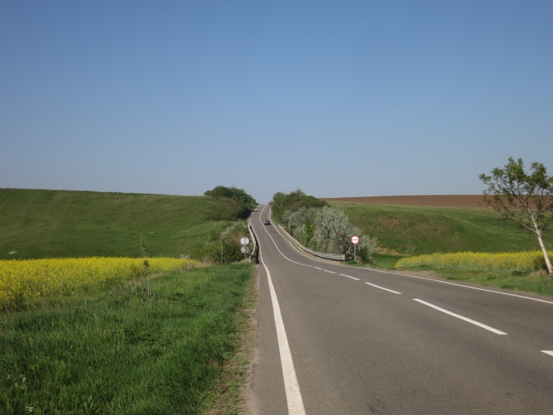 P1.JPG
