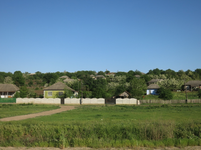 P6.JPG