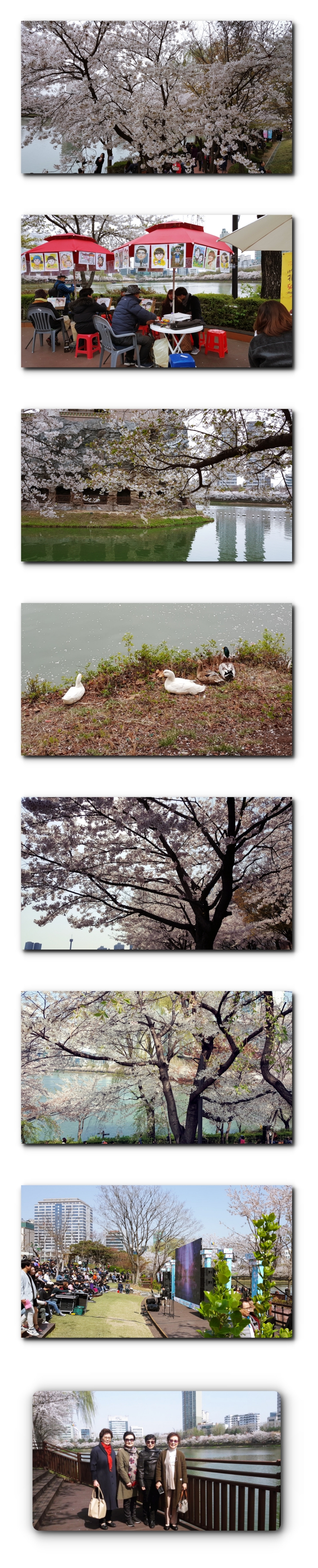 20180408_135539A-downA.jpg