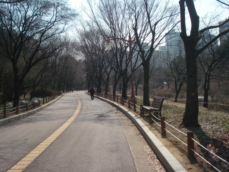 꾸미기_꾸미기_DSC01950.JPG