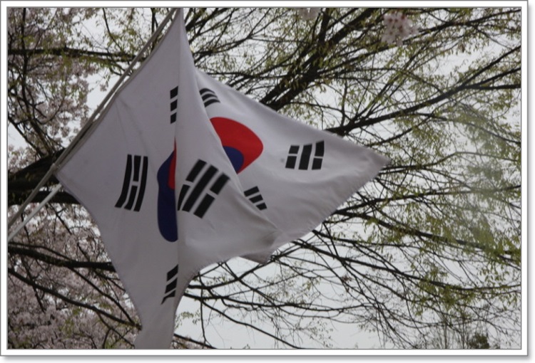 꾸미기_꾸미기_IMG_0710.jpg