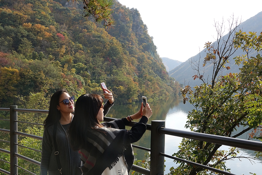 DSC08107 01.JPG