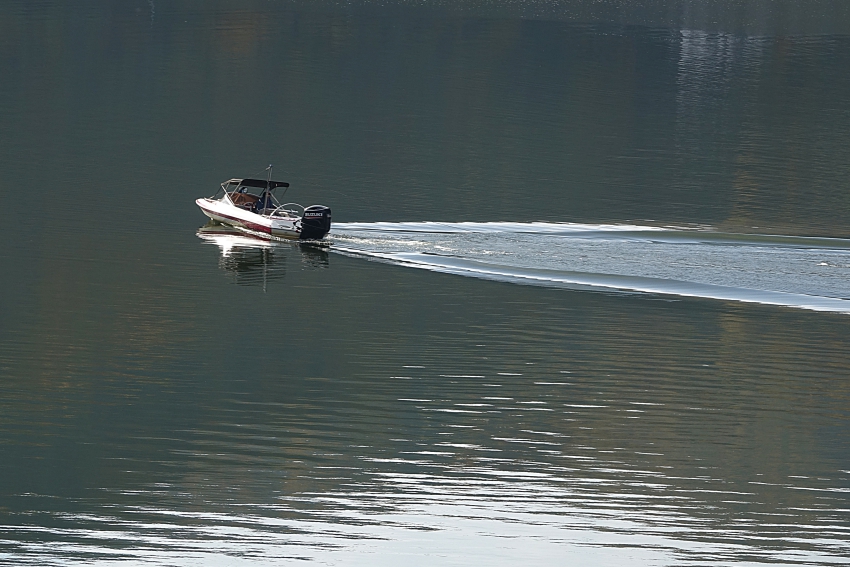 춘 021.JPG