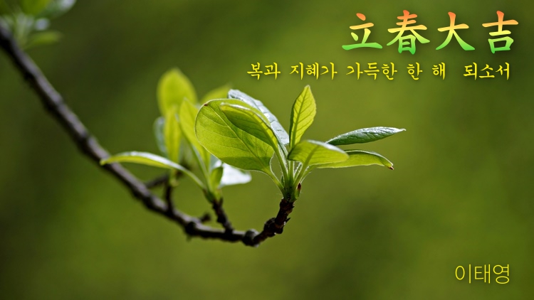 16DSC04069 05.JPG