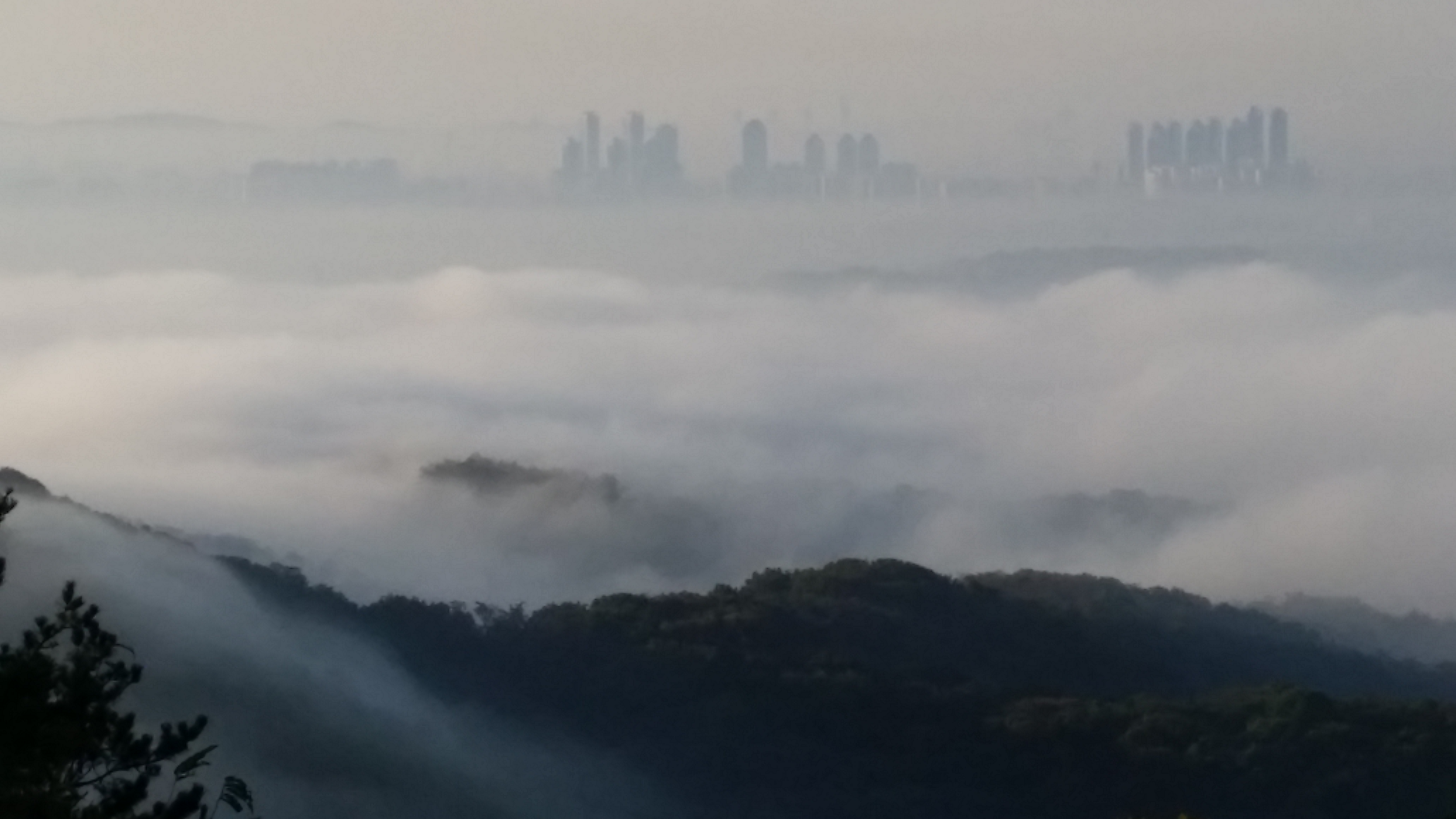 20151014_074118.jpg