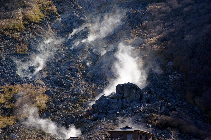 하DSC08688 01.JPG