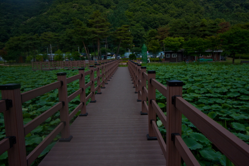 꾸미기_꾸미기_AIMG_1830.jpg