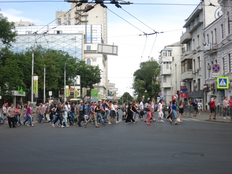 P7.JPG