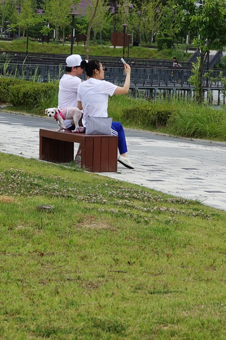 세 061.JPG