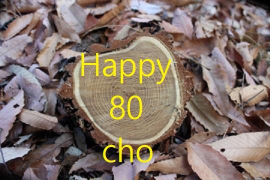 Yearly ring 80,.jpeg