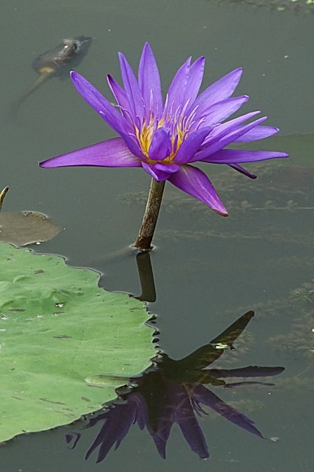 관 067.JPG