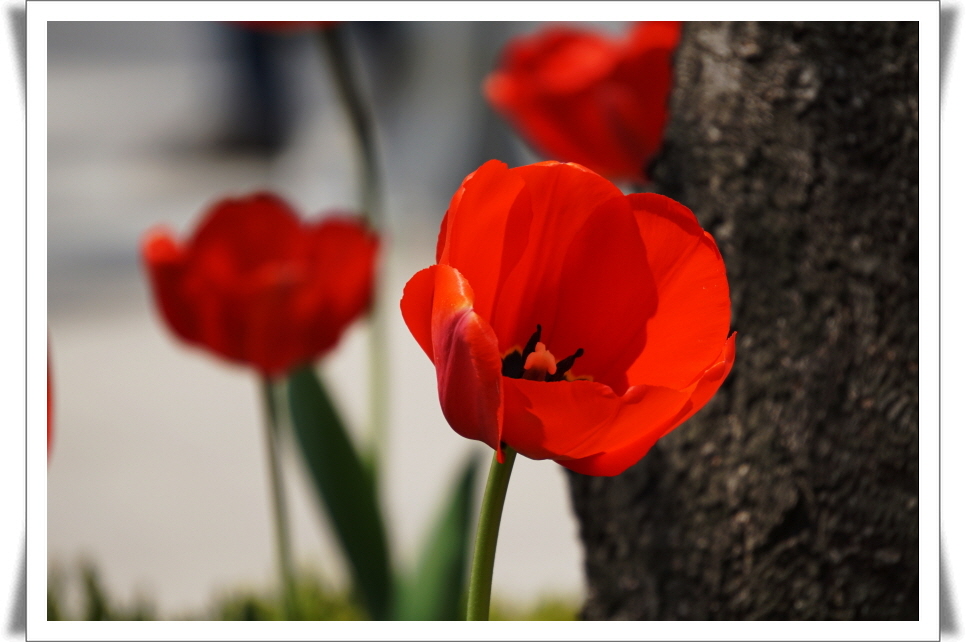 1_170415- (17).JPG