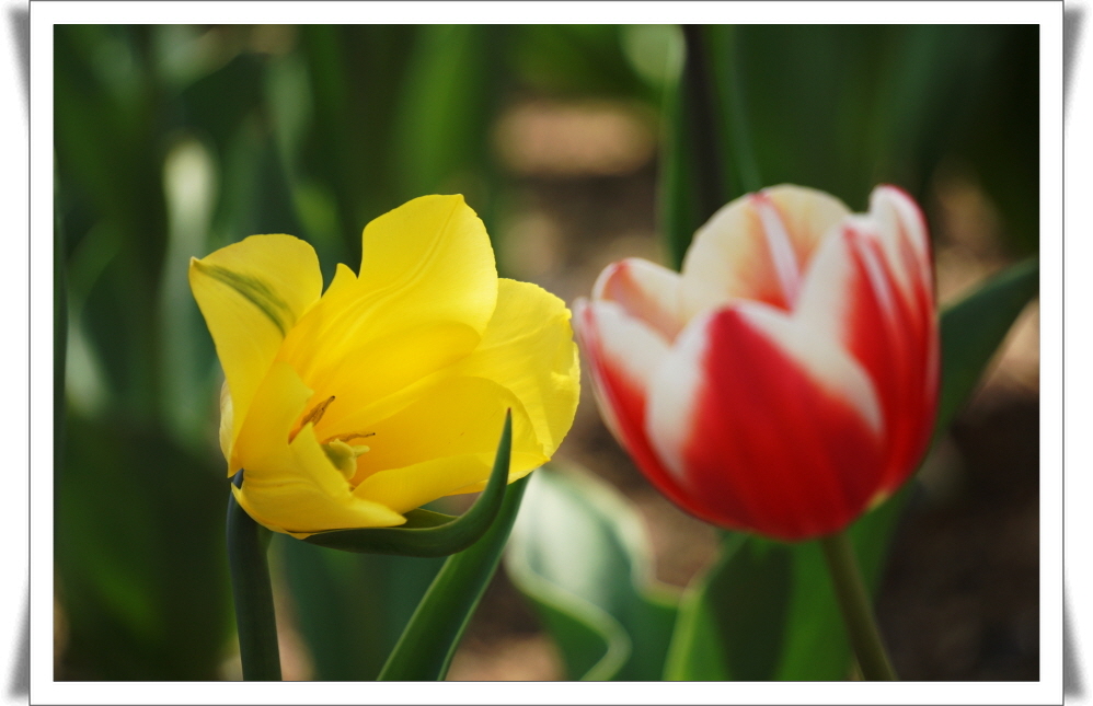 1_170415- (19).JPG