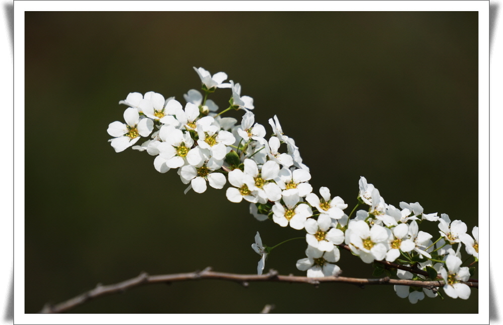 1_170415- (23).JPG