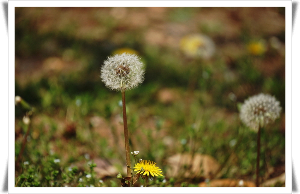 1_170415- (22).JPG