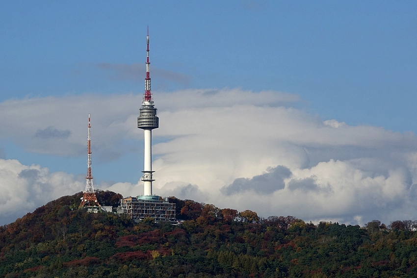 DSC08690.JPG