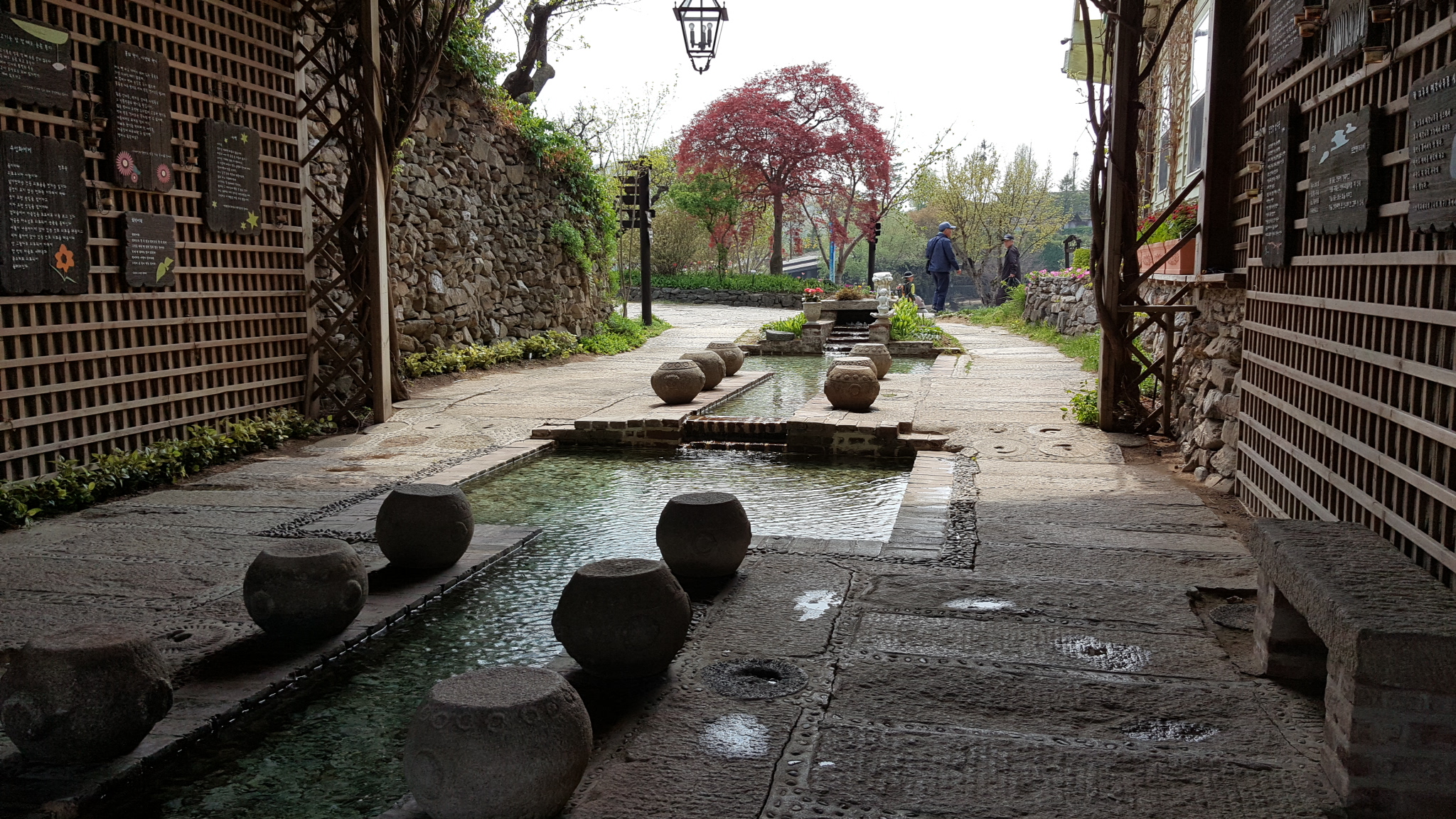 20180426_135059.jpg