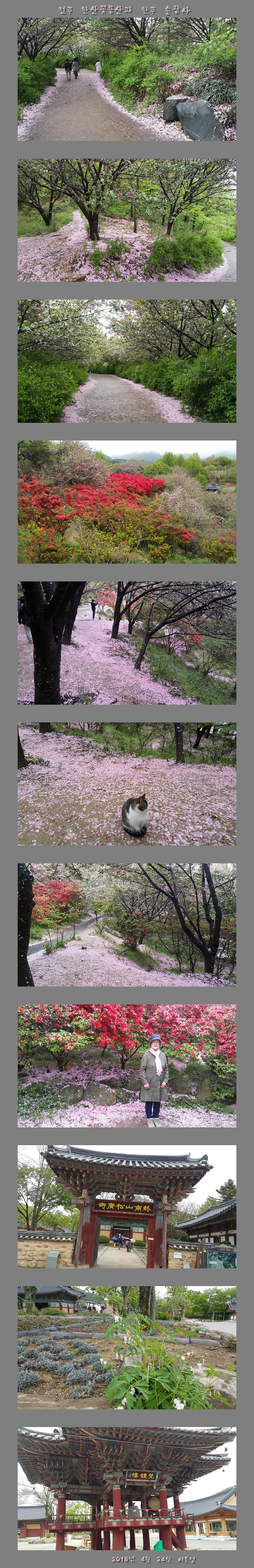 완산꽃동산과 송광사.jpg