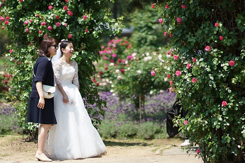 서 052.JPG