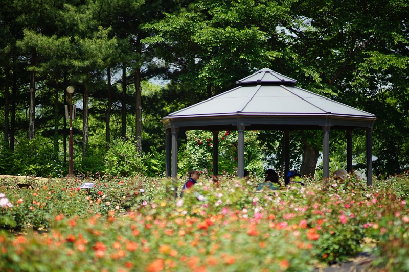 서 058.JPG