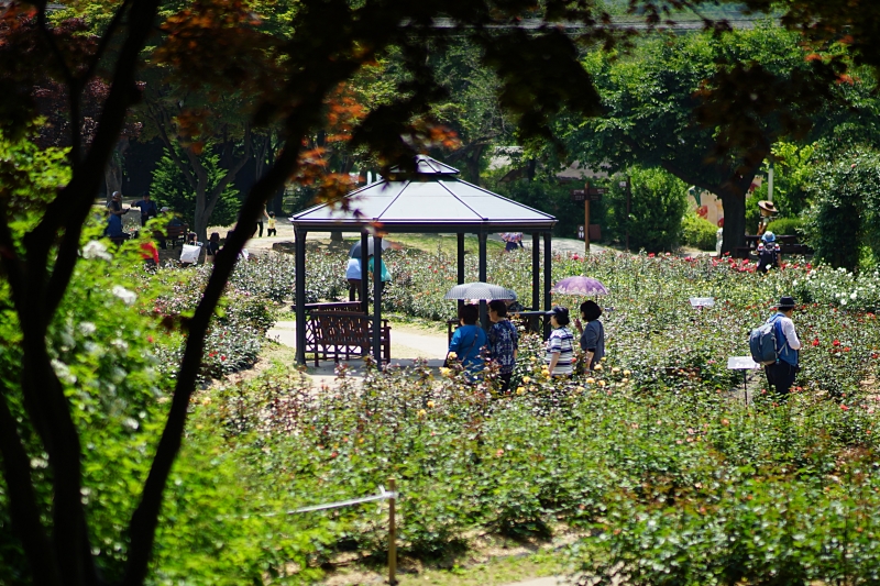 서 040.JPG