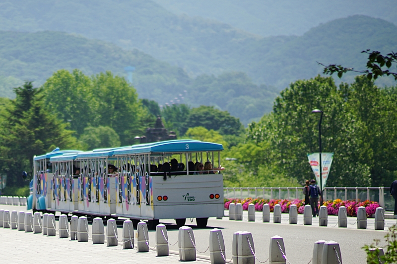 서 0107.JPG