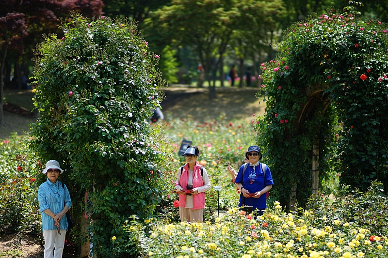 서 083.JPG
